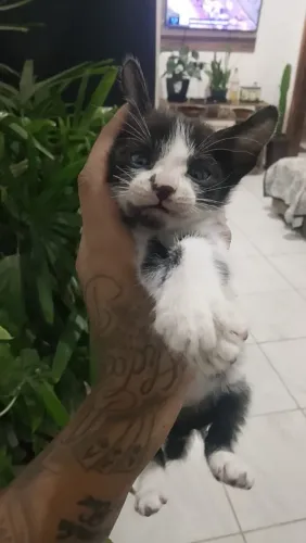 Doação