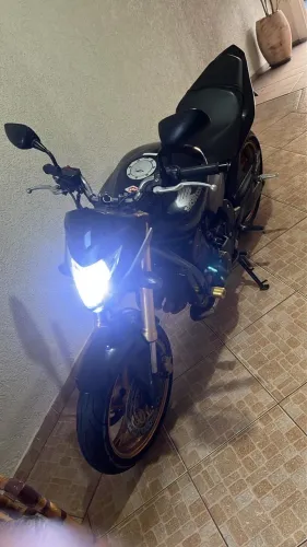 Hornet 2013 