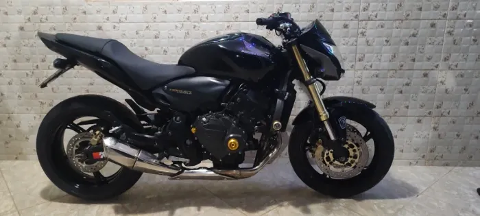 Hornet 2012