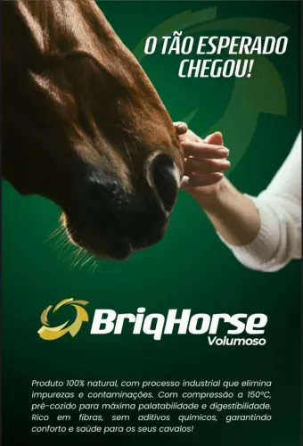 Briqhorse Feno de Tifton85 saco 25kg
