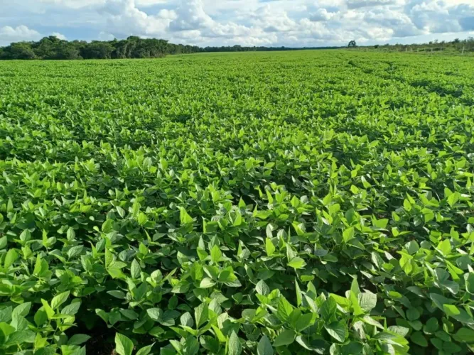 Fazenda à venda, 2.208 hectares por R$ 125.000.000 - Zona Rural - Água Boa/MT