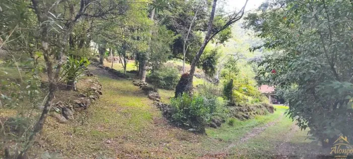 Sitio com 12 hectares no Morro dos Bugres , Santa Maria do Herval, RS! Ref.:1405