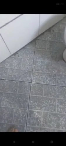 Pedreiro para sábado na diária