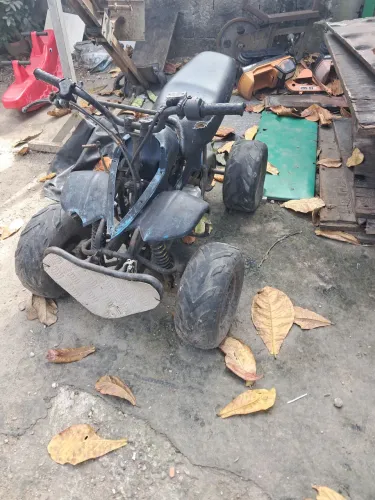 Mini quadricico PRECINHO 1,800 $