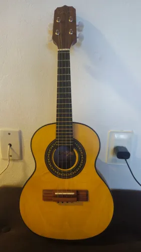 Cavaquinho acústico Rozini rc10