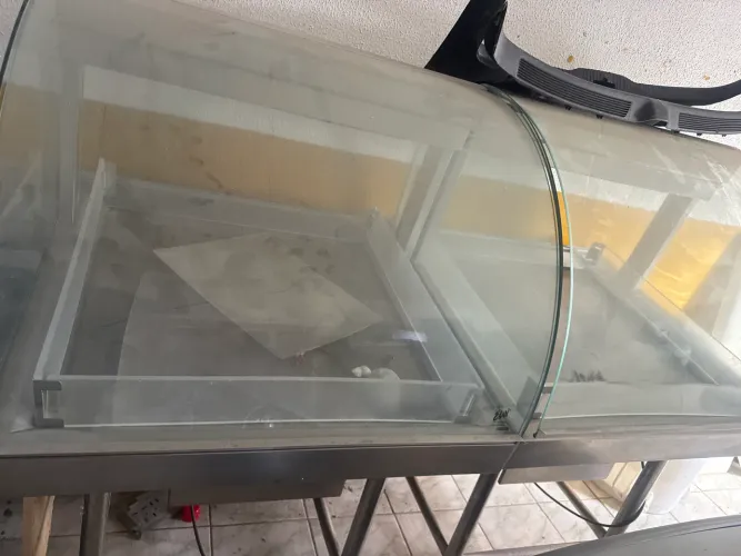 Vitrine de frios e congelados