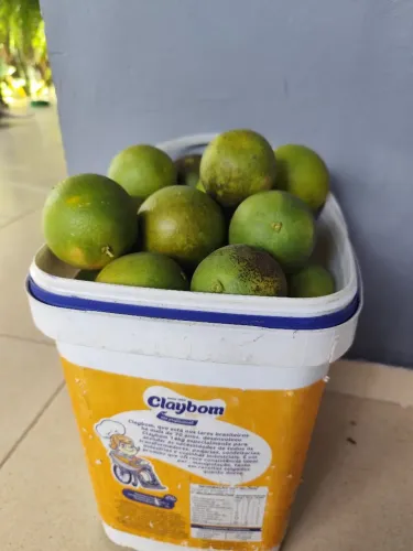 Vende- se Laranja Natural do Quintal