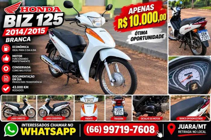 Biz 100 2014/2015
