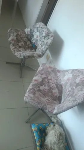 Vendo as duas cadeiras por R$ 350,00