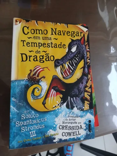 Livro como navegar em uma tempestade de dragão. Serie como treinar o seu dragao.