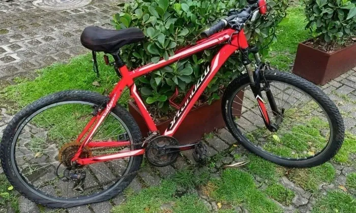 Bicicleta aro 26 Specialized MTB