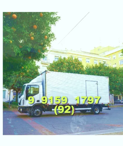 Frete Bau em São Jorge, Cidade Nova e Novo Altamira. Faça sua mudança com qualidade!