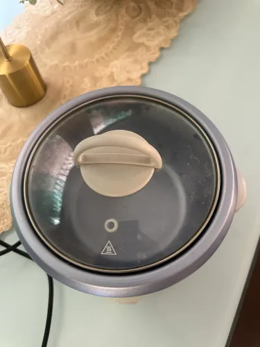 Panela elétrica oster, nova sem defeitos!