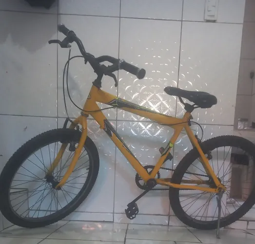 Bicicleta aro 24