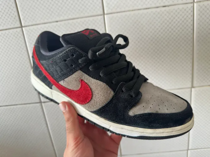Nike Dunk Low Paul Rodríguez 