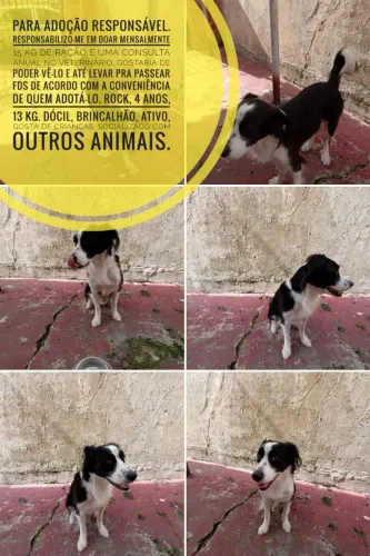 Doação responsável