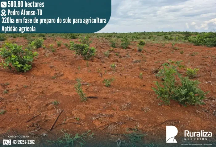 FAZENDA 120 ALQUEIRES | 320 HA EM PREPARO | ALTO POTENCIAL