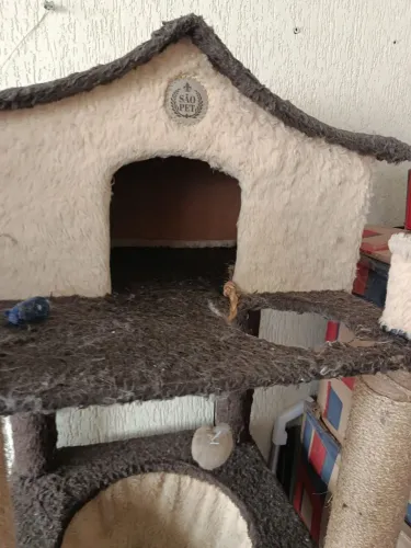 Casa para gatos 