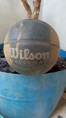 Bola de basquete wilson