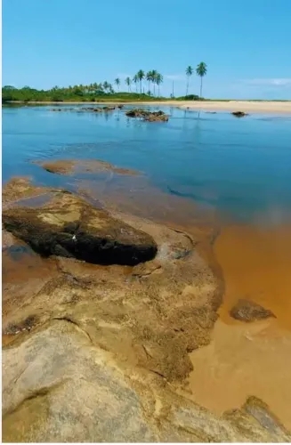 Alugo casa em Itacimirim