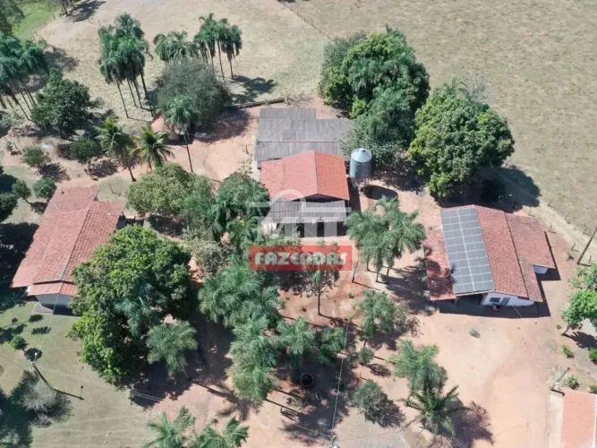 Fazenda 14.5 Alqueires (70.17 Hectares) Palmeiras de Goiás - GO