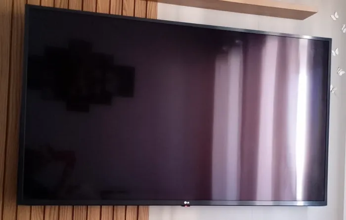 Tv LG 55 Com controle Inteligente