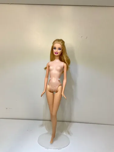 Boneca Barbie buttefly e a primcesa fairy