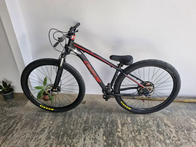 Bicicleta aro29