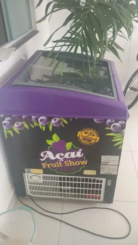 Freezer 300 lts semi novo 220v