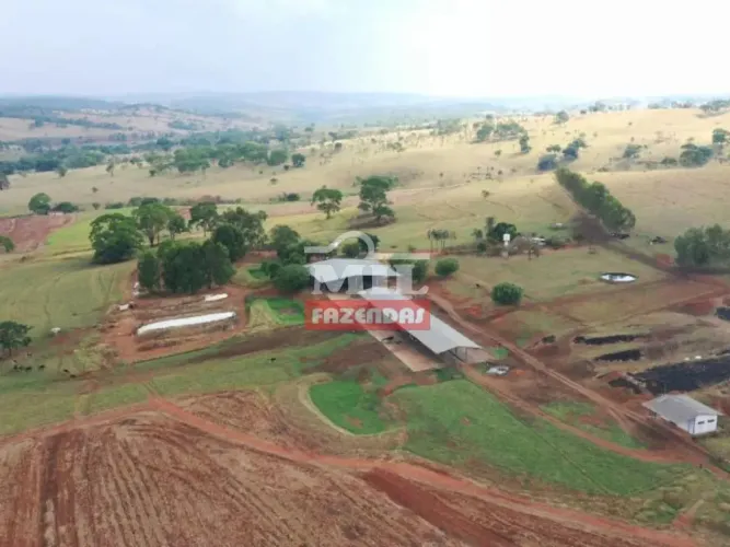 Fazenda 100 alqueires (484 hectares) Anapolis - GO