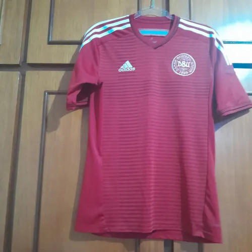 Camisa Dinamarca oficial 