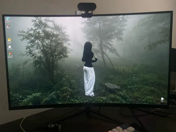 monitor