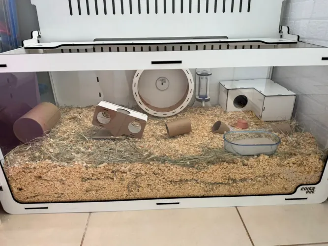 Terrário para hamster e roedores