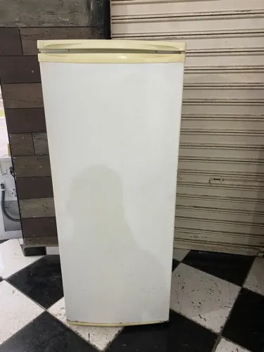 Geladeira Electrolux 110v entrega grátis 