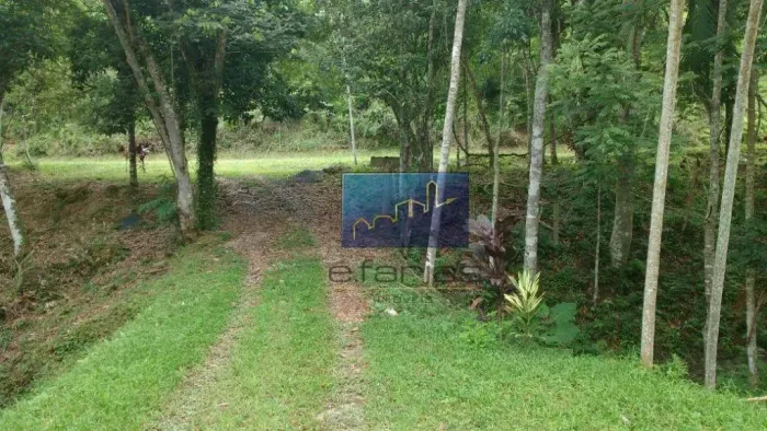 Chácara com 1 dormitório à venda, 15000 m² por R$ 350.000,00 - Pancada - Jacupiranga/SP