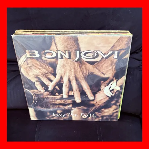 Coleção de 12 Discos Lp Vinil Bon Jovi, George Michael, Sting, Capital Inicial, Roberto