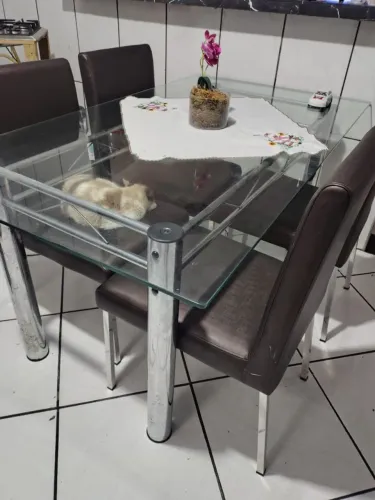 PRA VENDER LOGO TUDO POR 1,800$