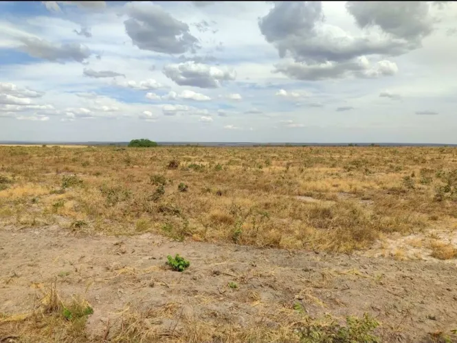 OPORTUNIDADE Fazenda em Campo Verde Mato Grosso de 1300 Hectares