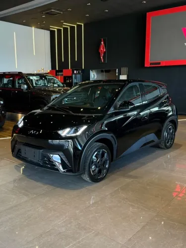 BYD Dolphin Mini GL 2027