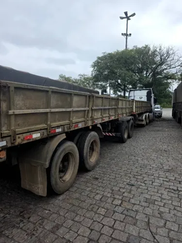 Carreta Bitrem 7 eixos com Pneus e Grades 