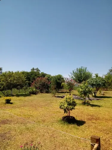 Vendo Chácara 3 Hectares Interior de Independência RS */ *