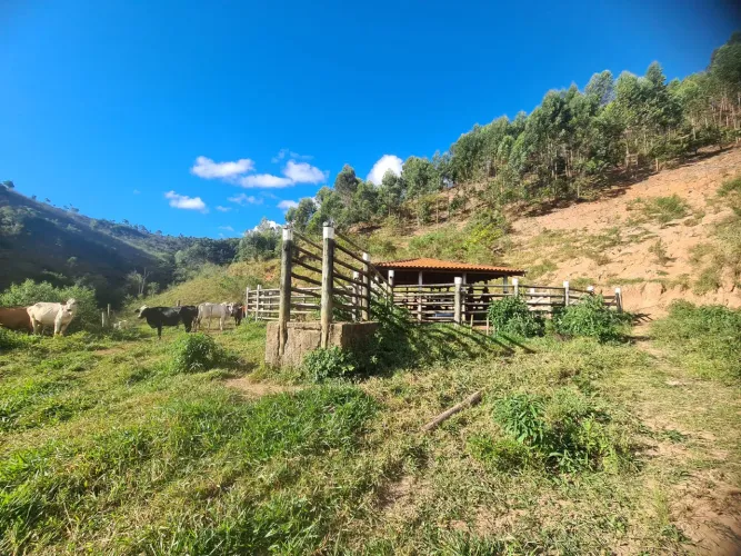 OTIMA OPORTUNIDADE FAZENDA MG