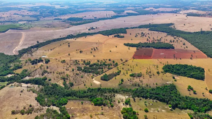 Fazenda Nova Loreanne à venda | Jaraguá-GO