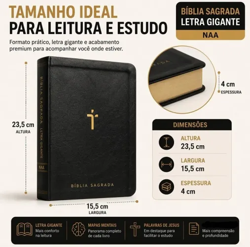 Bíblia Sagrada Naa Letra Gigante Com Mapas Mentais e Índices | Luxo Preta