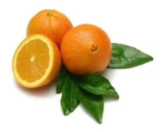 Laranjeira laranja baianinha de umbigo enxertada (vendo mudas)