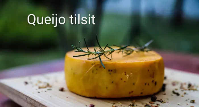 Queijo Tilsit