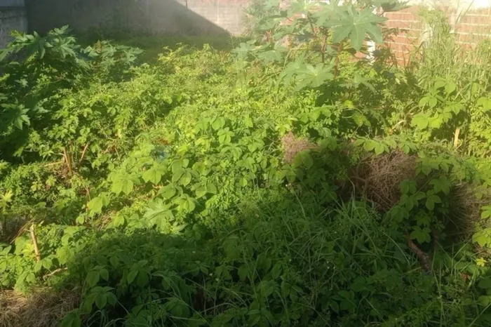 Excelente Terreno à venda no Jardim Oceania, a 300 metros da praia em João Pessoa!