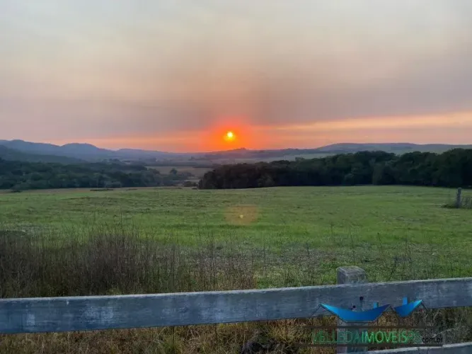 Velleda oferece fantástica fazenda 562ha em Pinheiro Machado, rica em água, p/ pecuária e