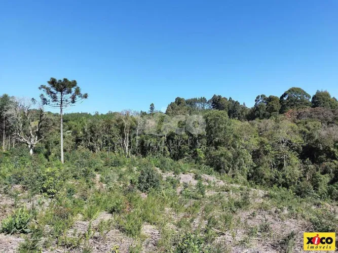 SÍTIO / CHÁCARA PARA VENDA EM NOVA PETRÓPOLIS / RS NO BAIRRO TREZE COLÔNIAS