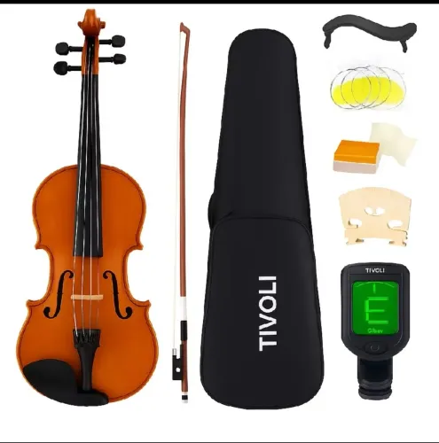 Vendo violino